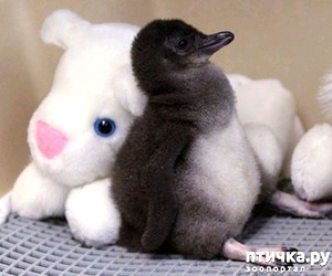 ����: ������� � ����� �������� - 2