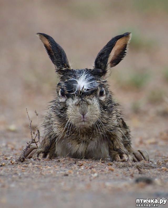 ���� 3: ������� � ����� �������� - 2