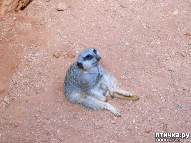 ���� 5: ������� � ����� �������� - 2