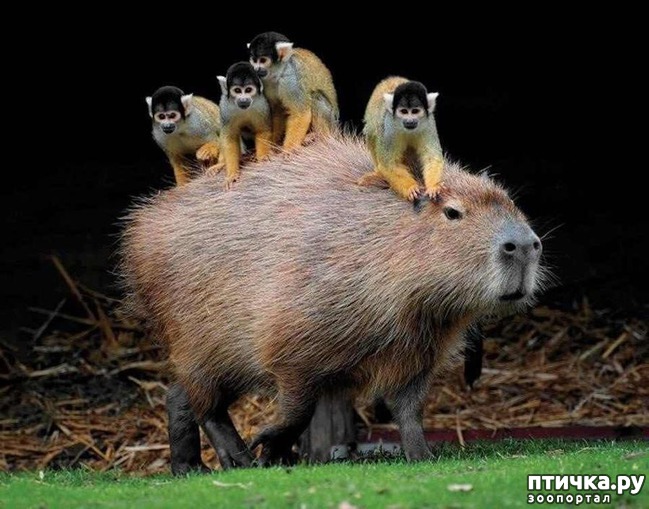 ���� 6: ������� � ����� �������� - 2