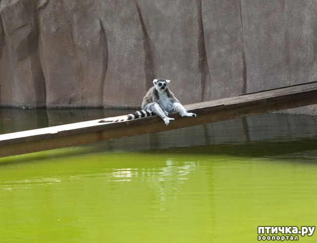 ���� 7: ������� � ����� �������� - 2