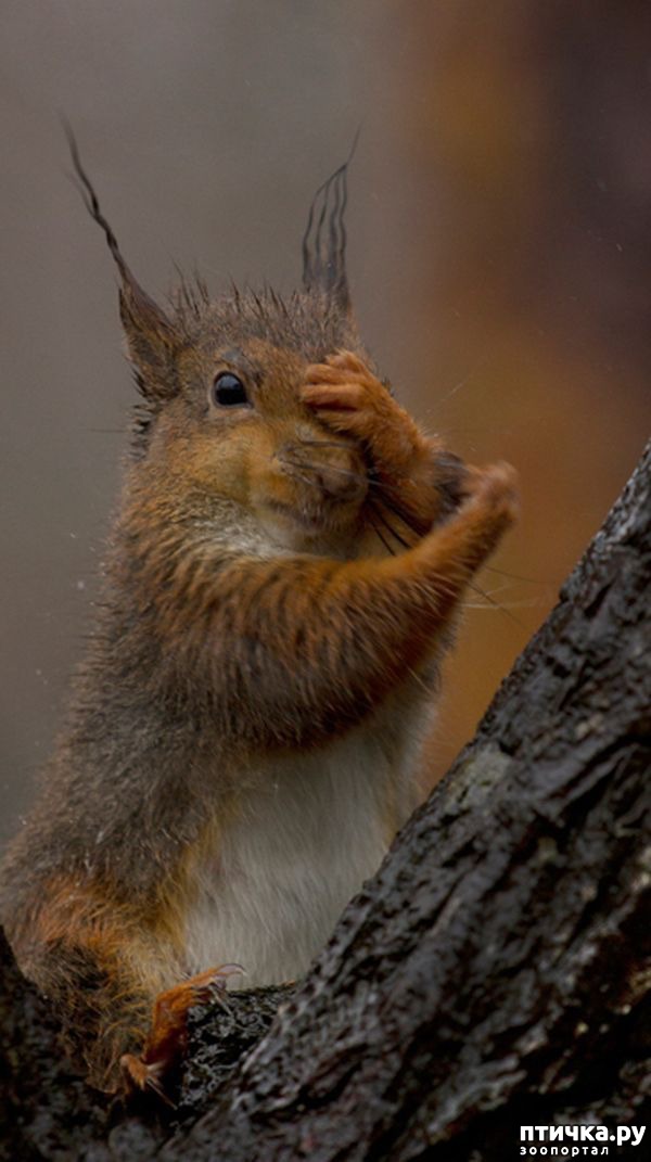 ���� 8: ������� � ����� �������� - 2