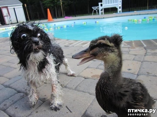 ���� 9: ������� � ����� �������� - 2