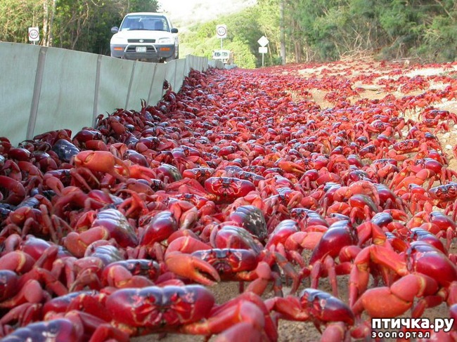 ���� 11: ������� � ����� �������� - 2