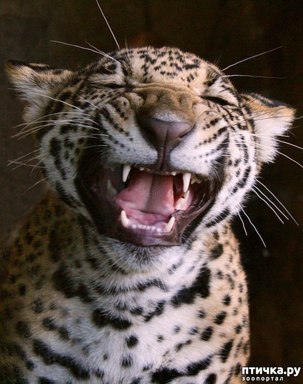 ���� 12: ������� � ����� �������� - 2