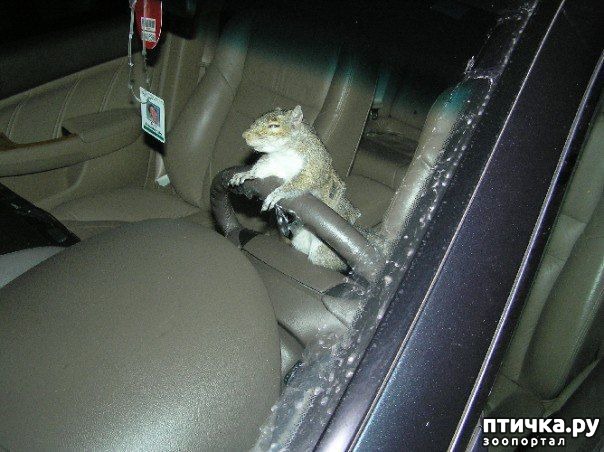 ���� 14: ������� � ����� �������� - 2