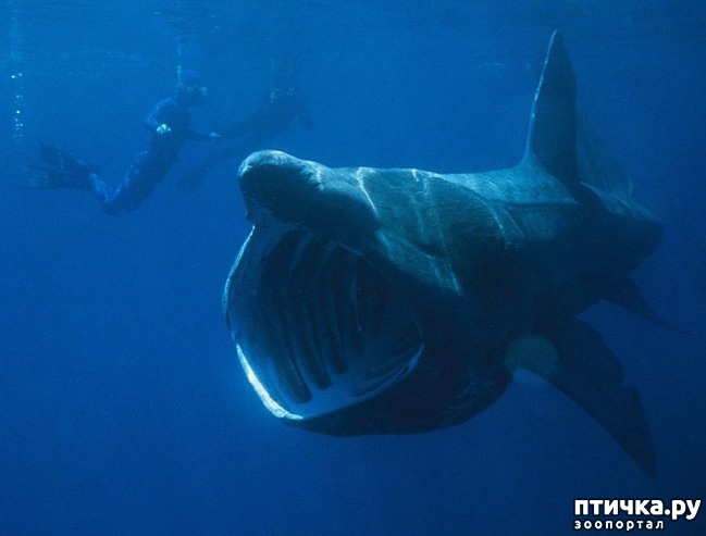 ���� 16: ������� � ����� �������� - 2