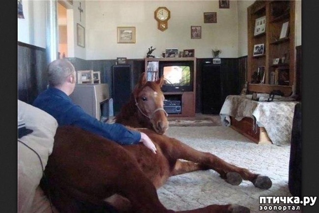 ���� 17: ������� � ����� �������� - 2