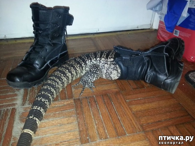 ���� 18: ������� � ����� �������� - 2