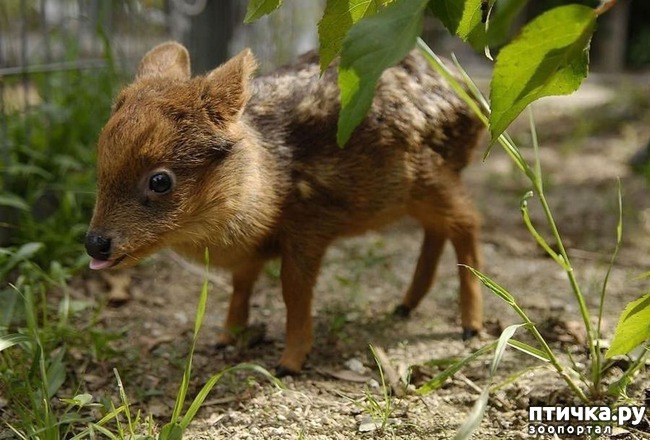 ���� 19: ������� � ����� �������� - 2