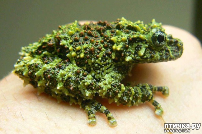 ���� 20: ������� � ����� �������� - 2