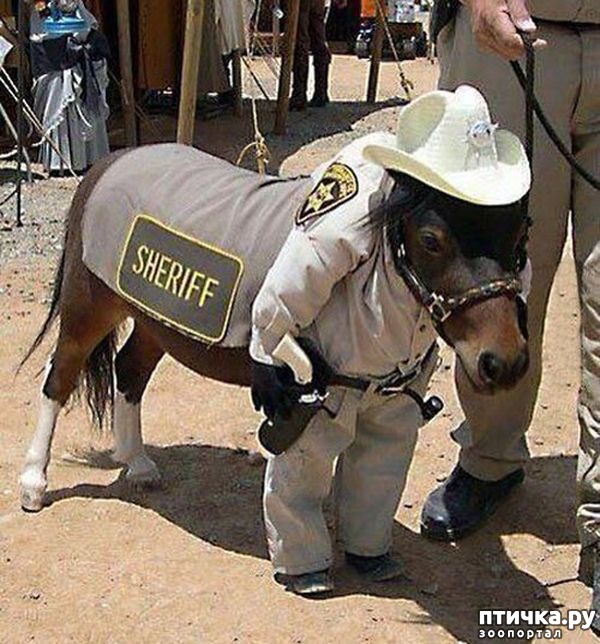 ���� 21: ������� � ����� �������� - 2