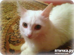 ����: ��������� � ������� ������