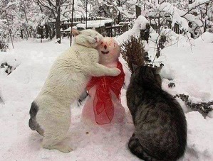 ����: ��������!!!