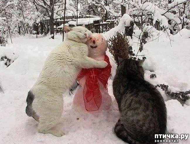 ���� 1: ��������!!!