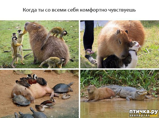 ���� 2: ���������� ��������, ������� �������� ��� ����������