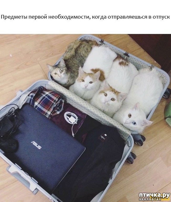 ���� 3: ���������� ��������, ������� �������� ��� ����������