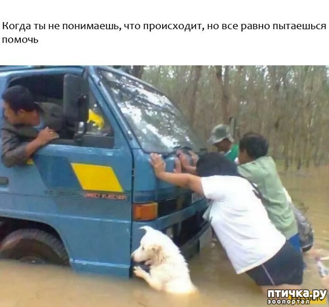 ���� 4: ���������� ��������, ������� �������� ��� ����������