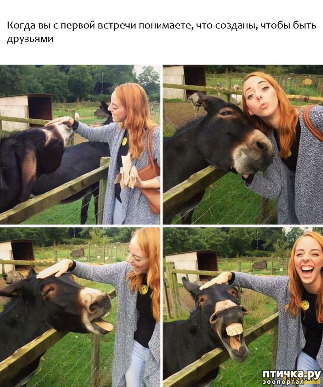 ���� 6: ���������� ��������, ������� �������� ��� ����������