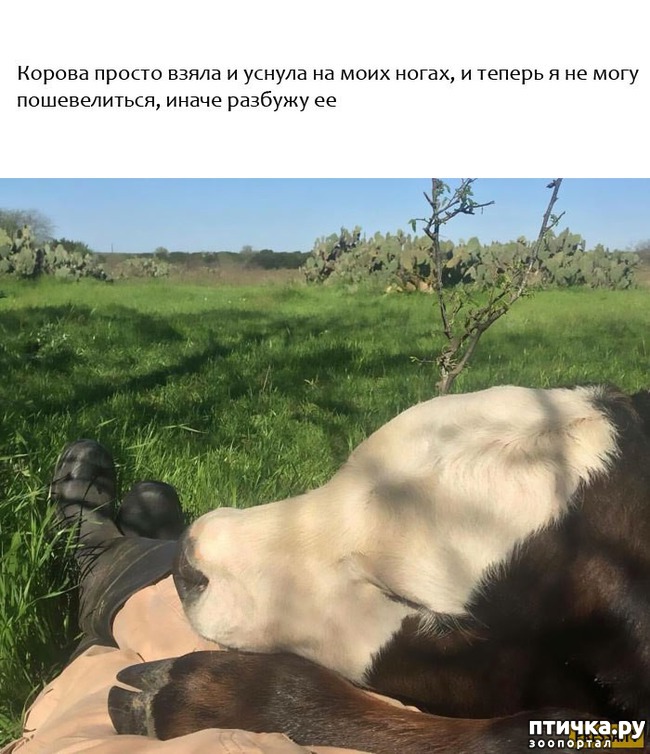 ���� 7: ���������� ��������, ������� �������� ��� ����������