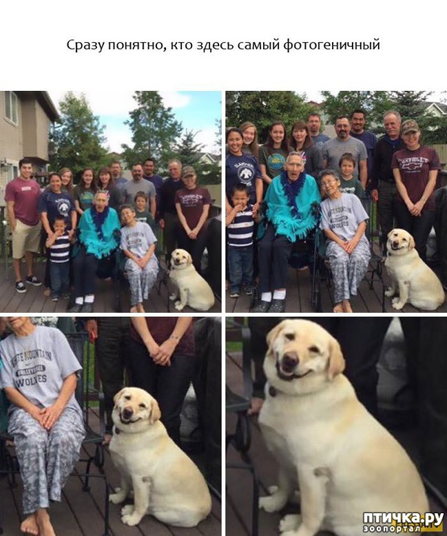 ���� 8: ���������� ��������, ������� �������� ��� ����������