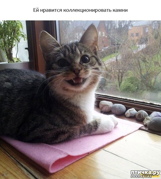 ���� 9: ���������� ��������, ������� �������� ��� ����������