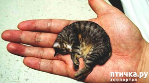 ����: ����� ��������� ��� �� �����