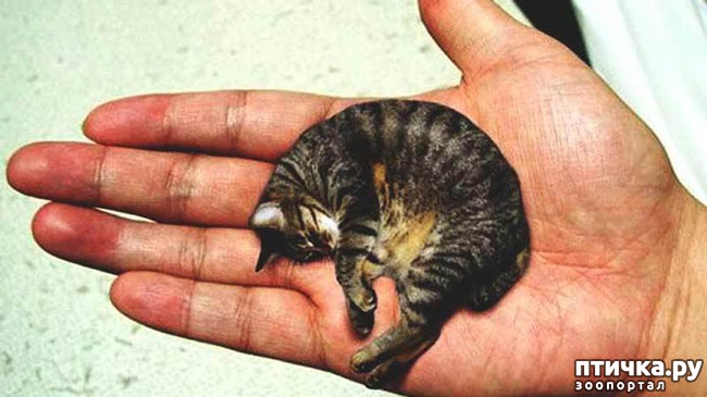 ���� 1: ����� ��������� ��� �� �����