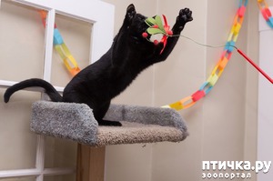 ����: ���������� �����