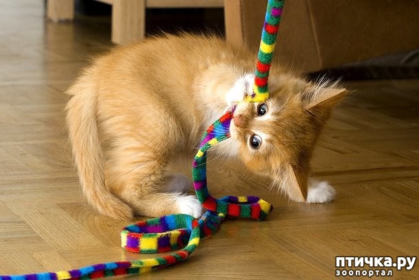 ���� 2: ���������� �����