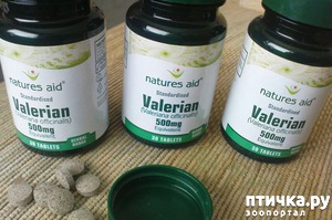 ����: ������ ����� ����� ����������?