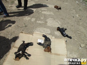 ����: � ������� ������ ������ �������� � �������� �������