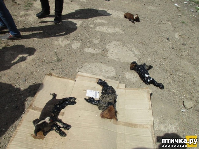 ���� 1: � ������� ������ ������ �������� � �������� �������