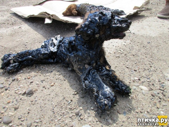 ���� 2: � ������� ������ ������ �������� � �������� �������