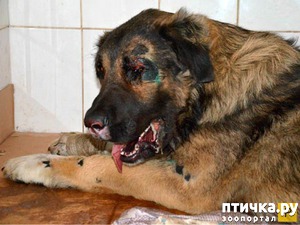 ����: ϸ��