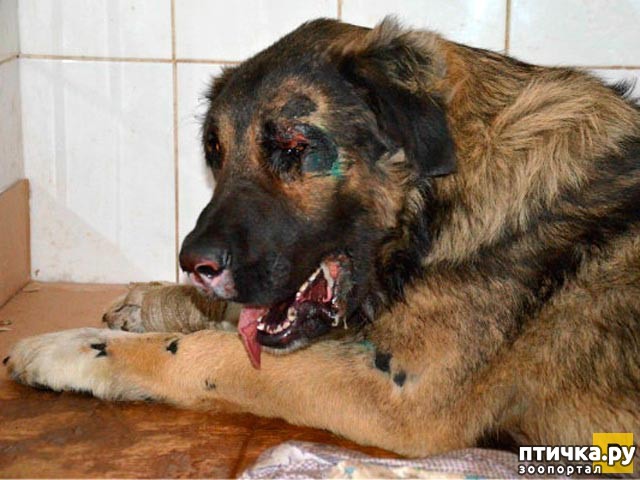 ���� 1: ϸ��