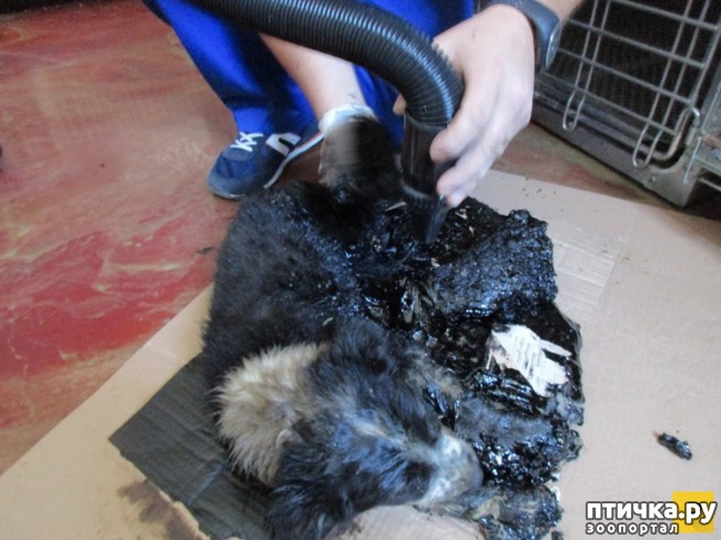 ���� 4: � ������� ������ ������ �������� � �������� �������