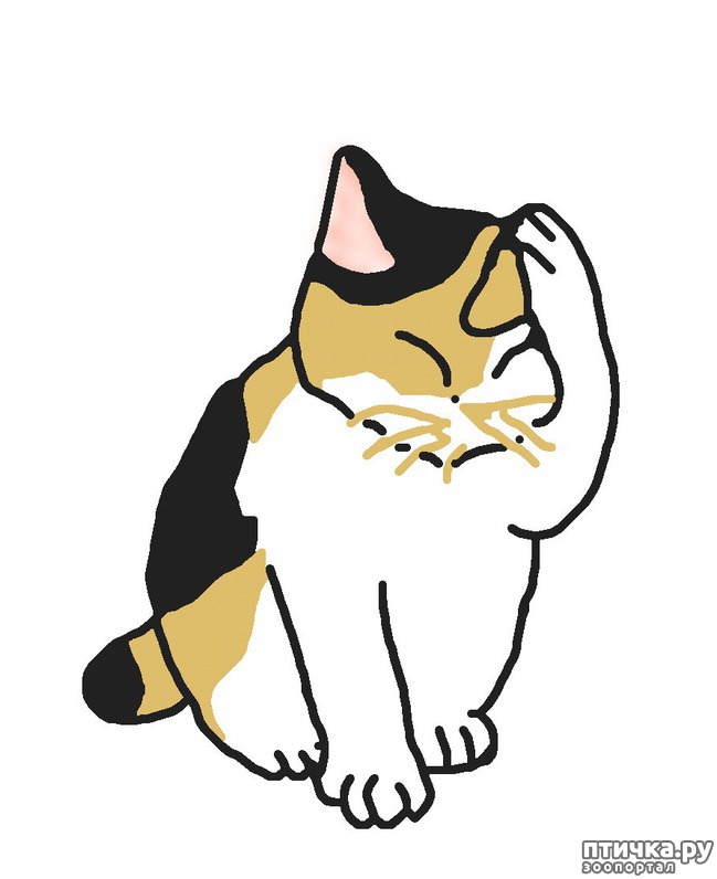 ���� 2: ������������ � �������� � ����� ������������ � ��������� ����������