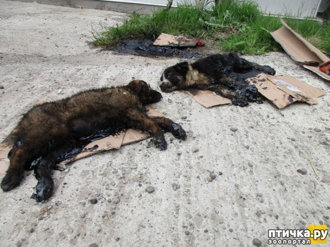 ���� 3: � ������� ������ ������ �������� � �������� �������