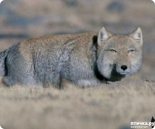 ���� 2: �������� � ����� ������ ����� �������� � ������� ���������