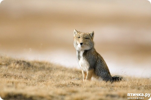 ���� 3: �������� � ����� ������ ����� �������� � ������� ���������