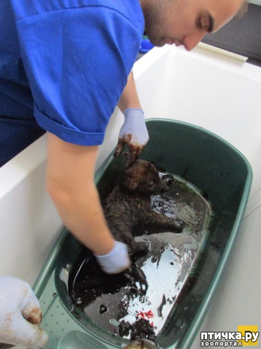 ���� 5: � ������� ������ ������ �������� � �������� �������