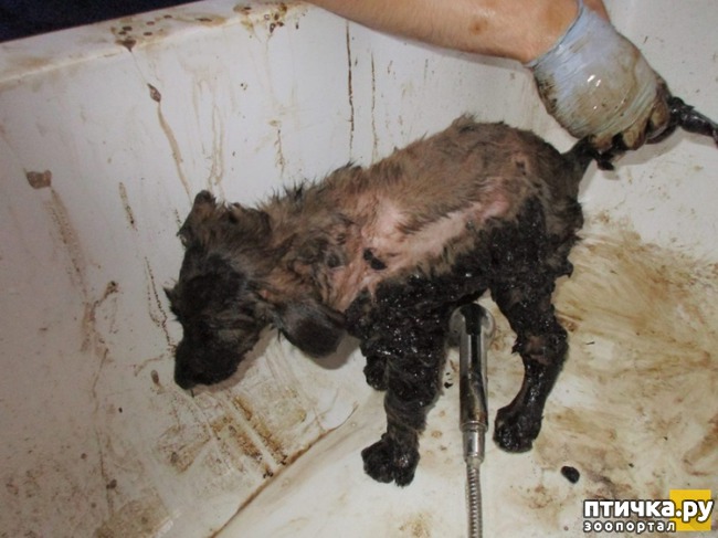 ���� 6: � ������� ������ ������ �������� � �������� �������