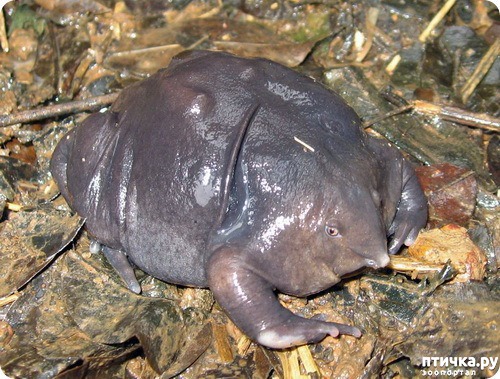 ���� 4: �������� � ����� ������ ����� �������� � ������� ���������