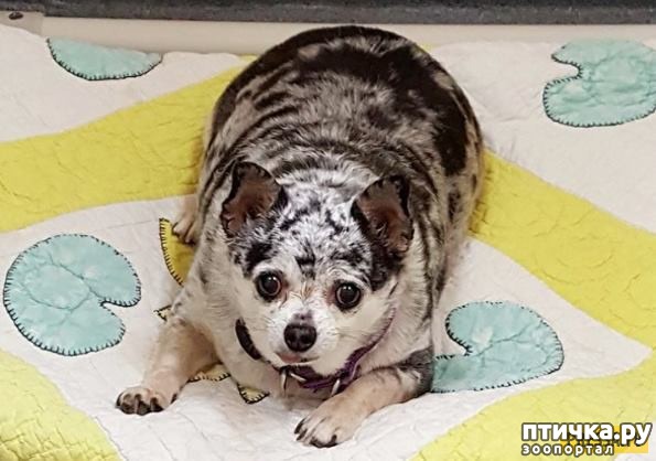 ���� 1: ������� ����������, � ����� ���������