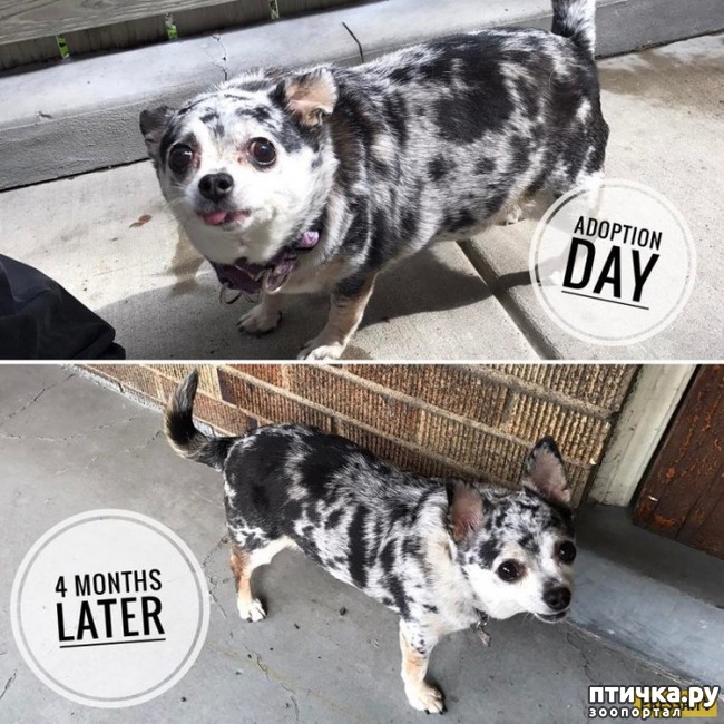 ���� 2: ������� ����������, � ����� ���������