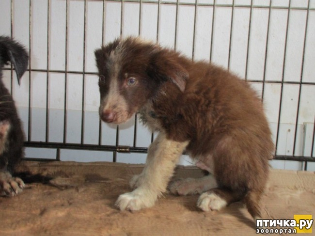 ���� 7: � ������� ������ ������ �������� � �������� �������