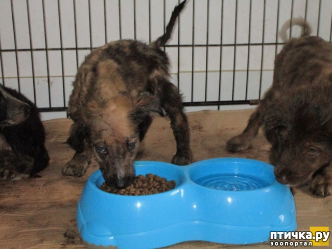 ���� 8: � ������� ������ ������ �������� � �������� �������