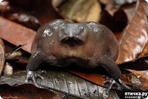 ���� 5: �������� � ����� ������ ����� �������� � ������� ���������