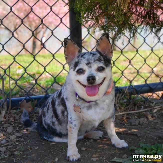 ���� 3: ������� ����������, � ����� ���������